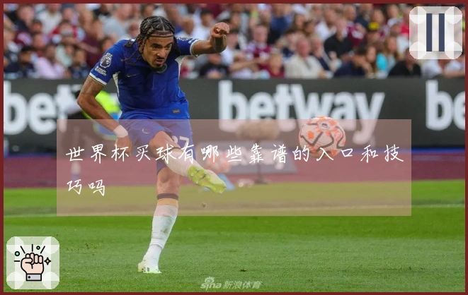世界杯买球有哪些靠谱的入口和技巧吗