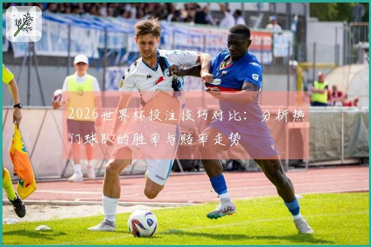 2026世界杯投注技巧对比：分析热门球队的胜率与赔率走势