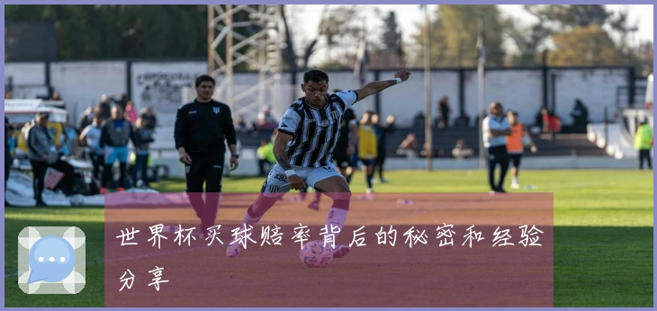 世界杯买球赔率背后的秘密和经验分享