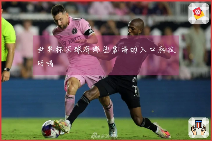 世界杯买球有哪些靠谱的入口和技巧吗
